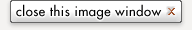 close this image window and return to the  exhibit