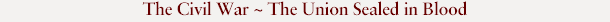 The Civil War ~ The Union Sealed in Blood