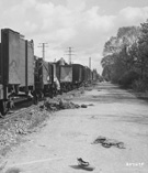 Railroad cars at Dachau concentration camp, 1945 (Detail)