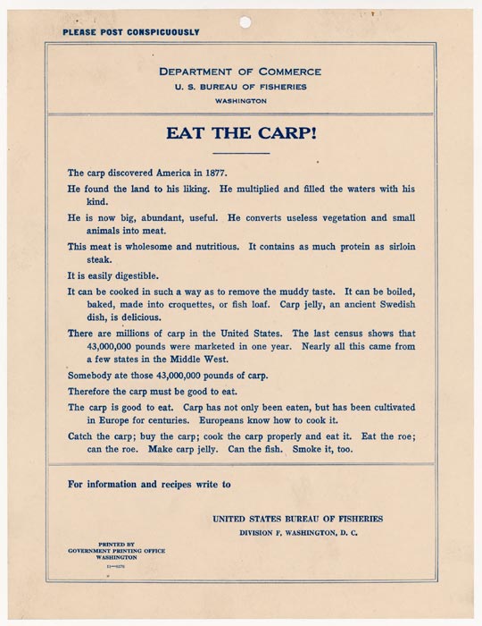 Eat the Carp! This was my favorite poster.
