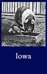 Iowa (National Archives Identifier 522459)