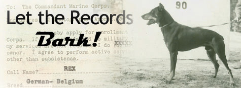 Dogs in the US Marines during World War II