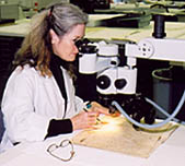 Susan Page at microscope