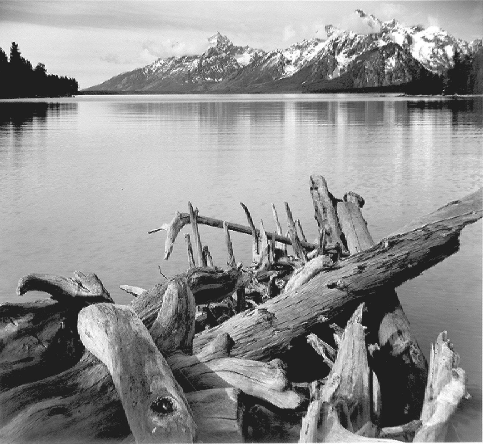 Snake River Overlook | Best of the Tetons, Area Info  Photography