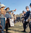 A female demonstrator offers a flower to military police