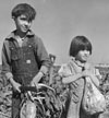 Children and Sugar Beets