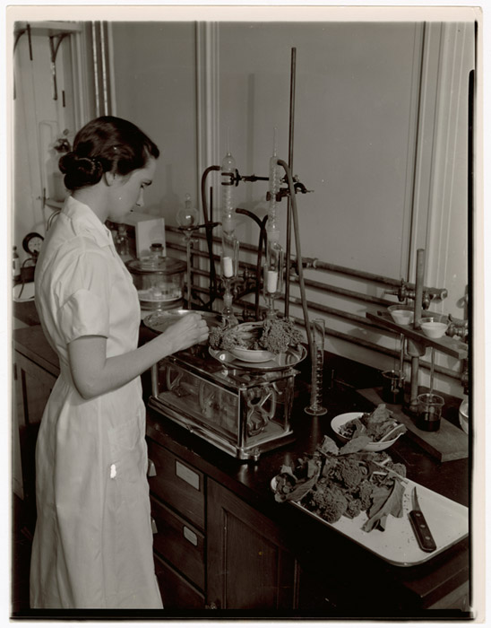 http://www.archives.gov/exhibits/whats-cooking/preview/images/kitchen/01-lg.jpg
