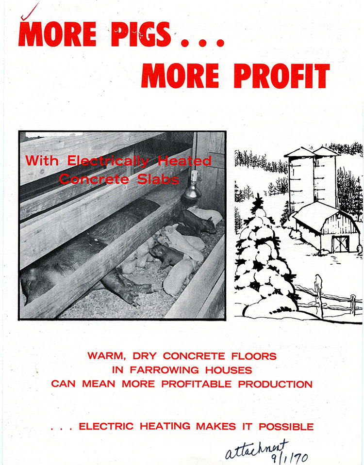 More Pigs, More Profit