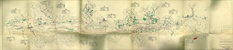 1941 Malaria Survey