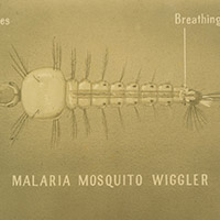 Malaria Control Program