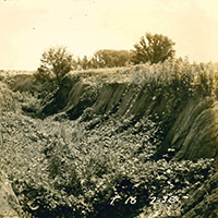 Kudzu Used to Stop Soil Erosion