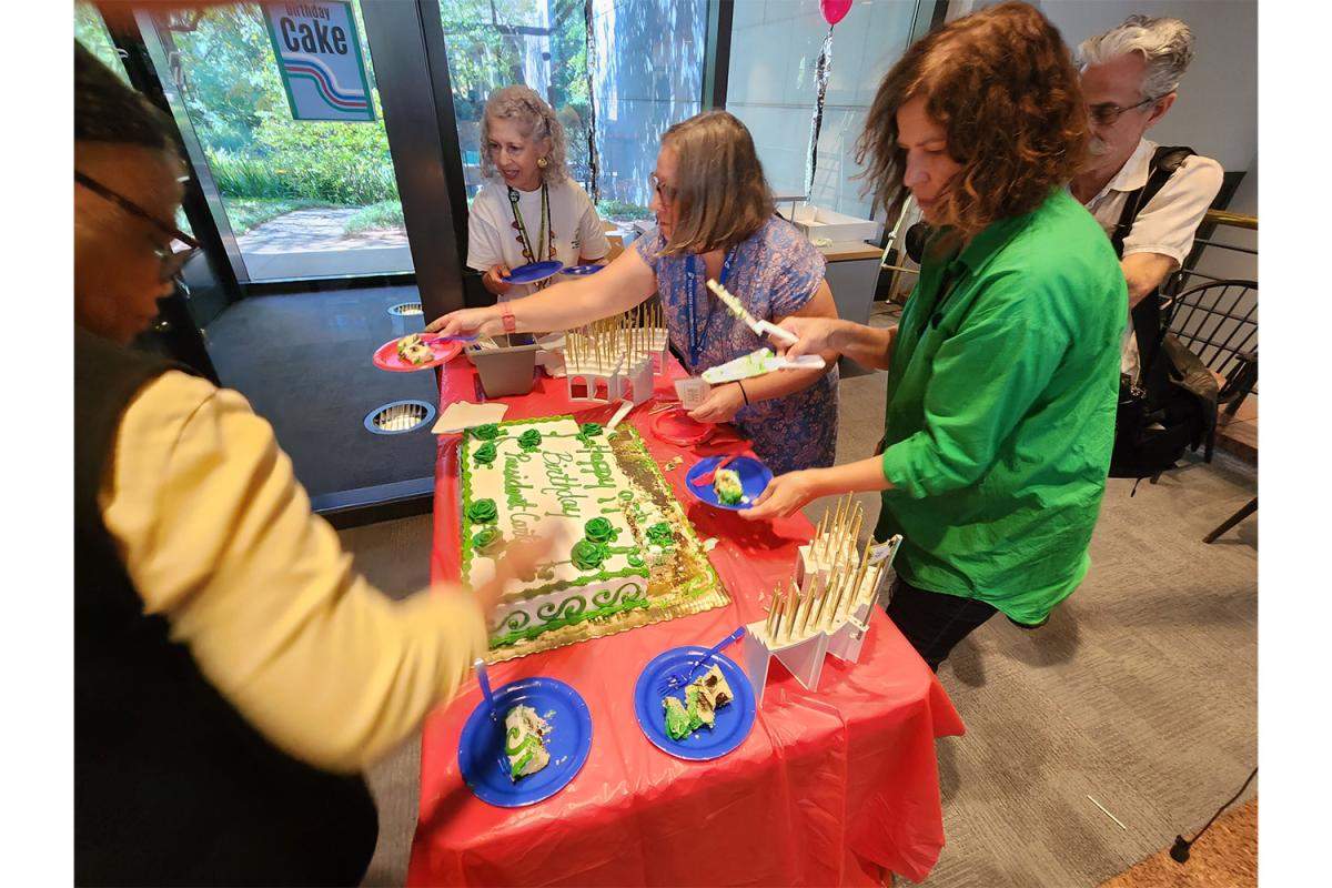 Slideshow background image