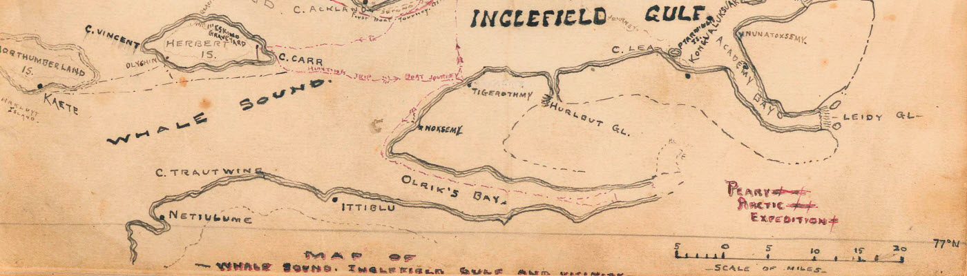 James W. Davidson Papers