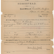 Homestead Application for Virgil W. Earp