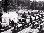Logs on Railroad Cars