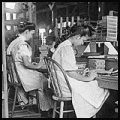 Girl Working in Box Factory, Tampa, FL