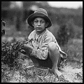 Detail of Boy Picking Berries