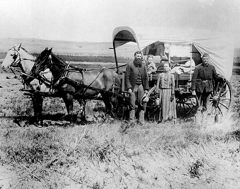 homestead act