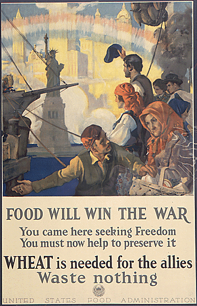 Sow The Seeds Of Victory Posters From The Food Administration
