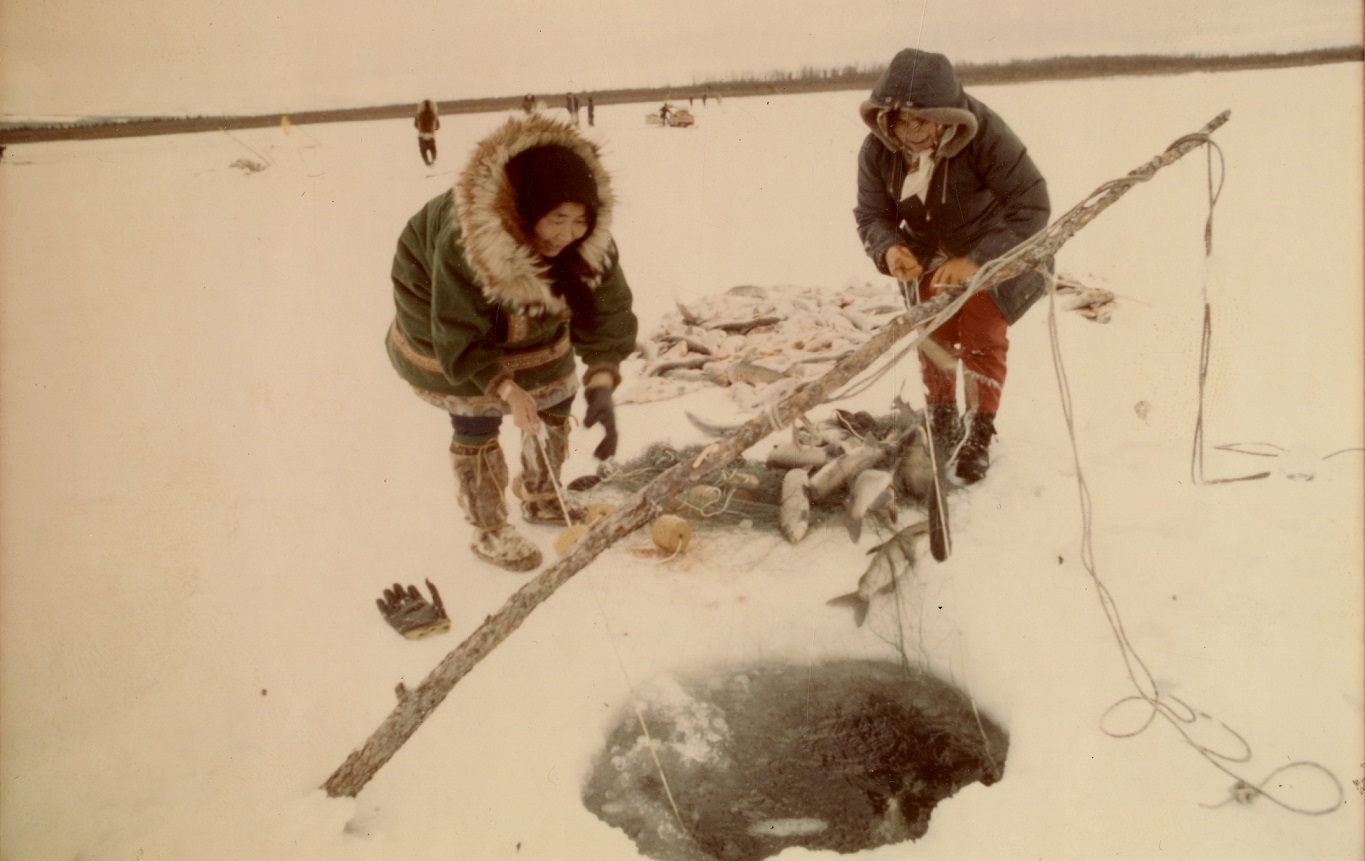 Slideshow background image