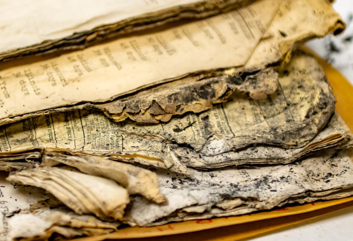 A closeup photo of a stack of moldy papers singed at the edges.