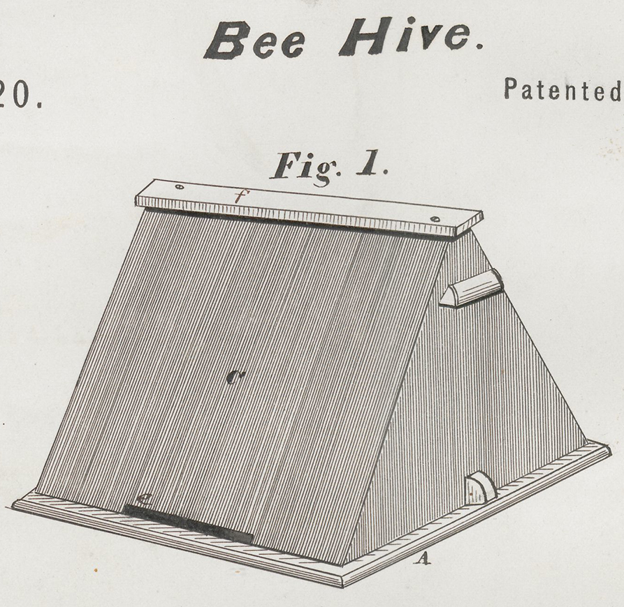 patent for beehive