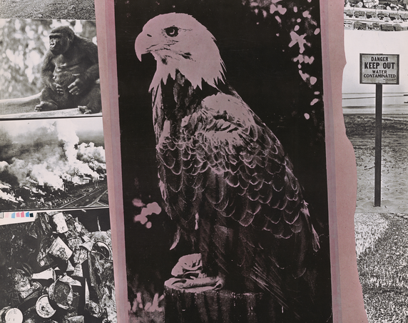 Earth Day poster with eagle