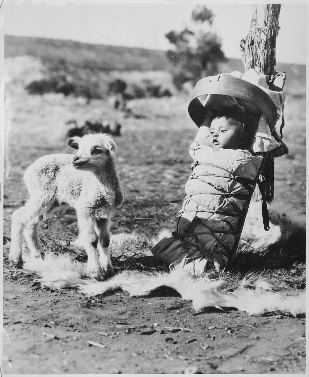 Navajo papoose on a cradleboard with a lamb approaching, Window Rock, Arizona,1936. 