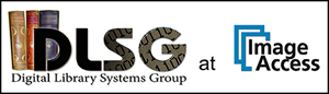 DLSG logo
