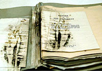 Mold on documents