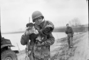 101st Airborne member and dog, Dud 101st Airborne member and dog, Dud