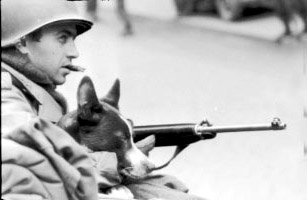 Army 26th Division mascot Little Joe Army 26th Division mascot Little Joe
