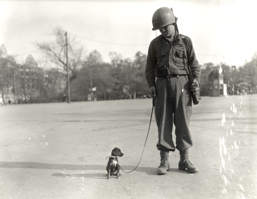 Leipzig, the company pet puppy, in April 1945