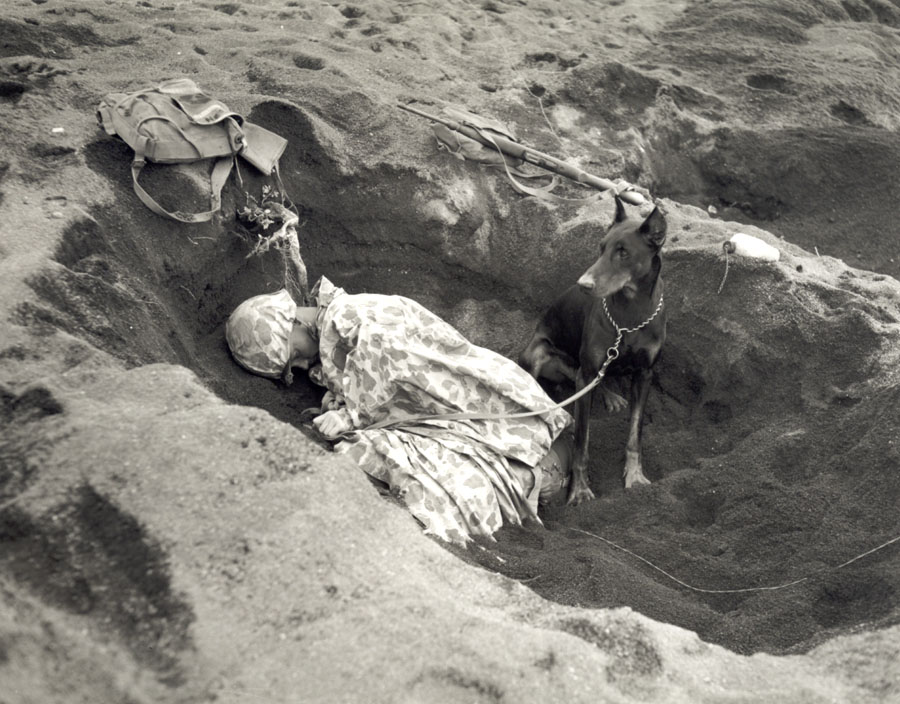 Marine takes nap while dog, Buster, stands guard