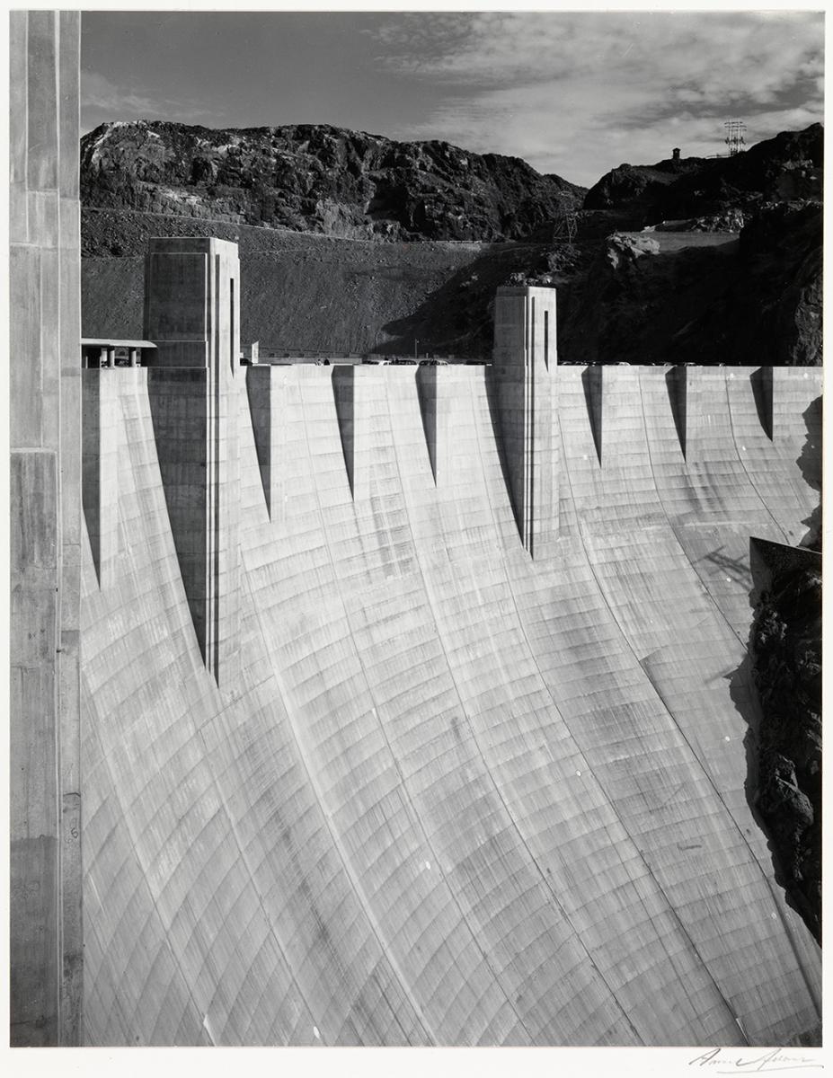 Rapid Response Archives - Mighty Earth