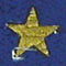 Star from a Betsy Ross flag