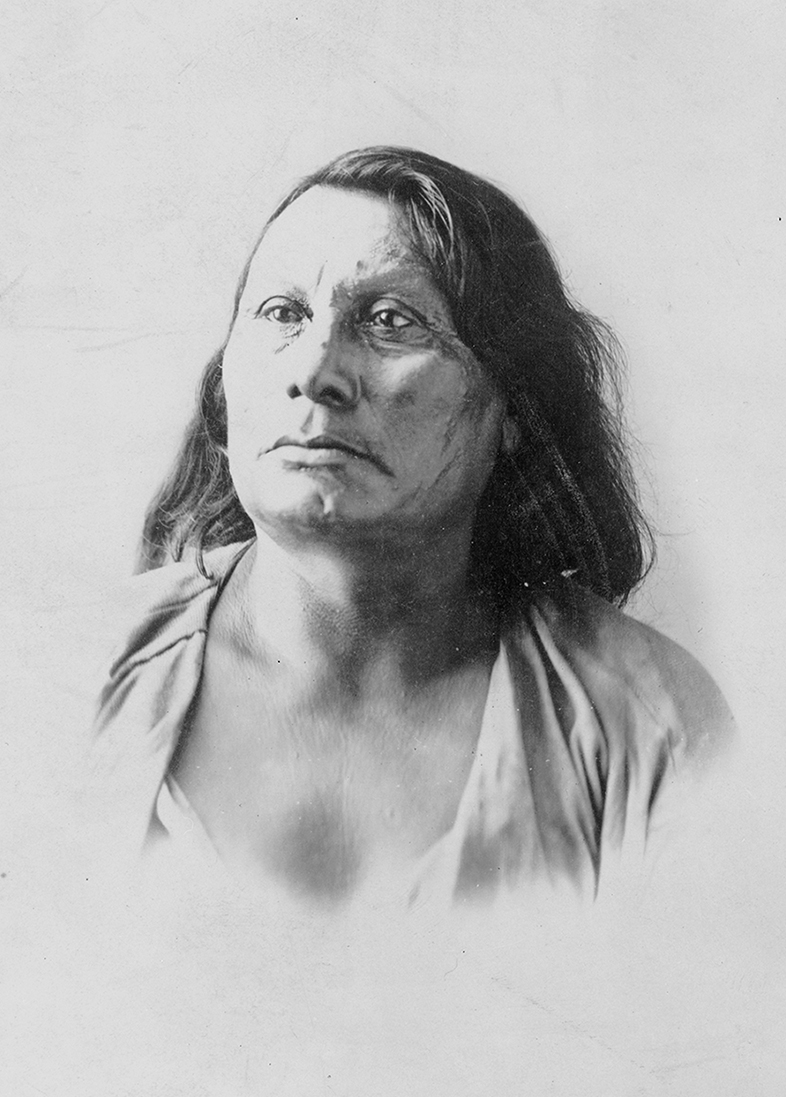 Portrait of Chief Gall 