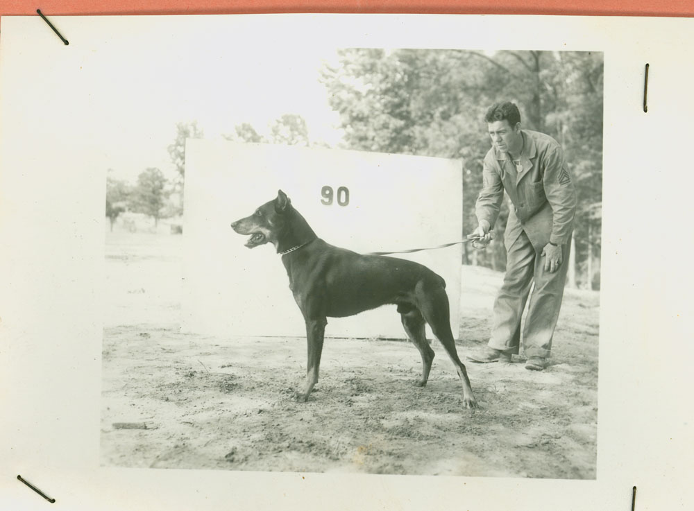 Marine dog Butch poses with his handler