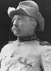 Portrait of Theodore Roosevelt