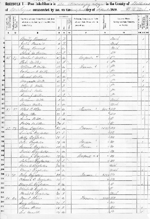 Page from 1850 Census from Hillsdale County, Michigan