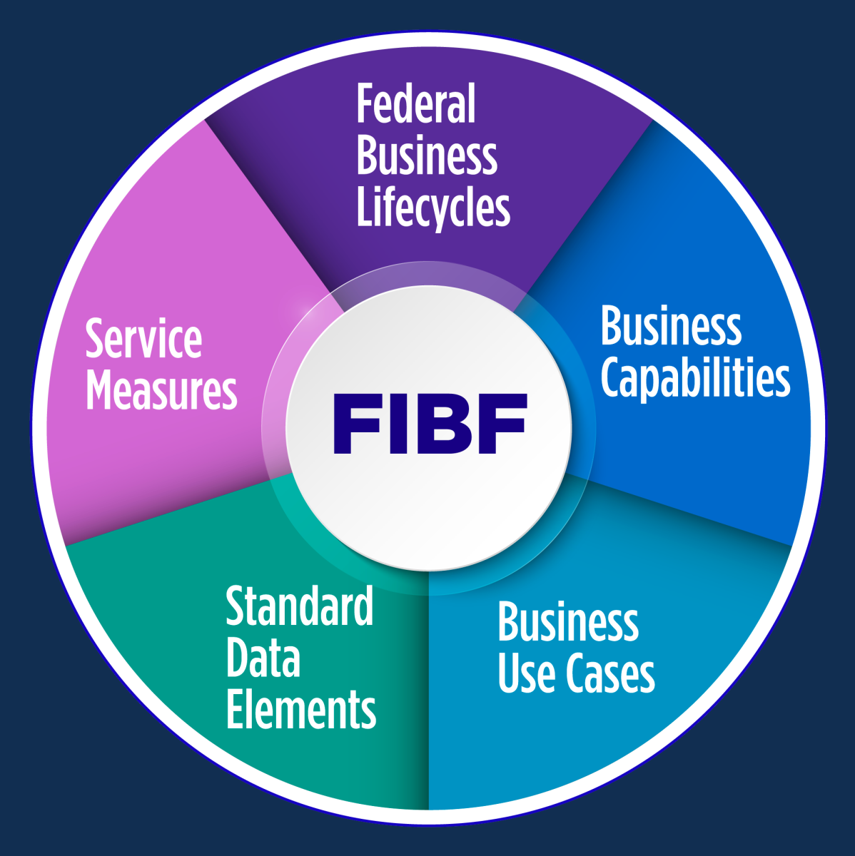 Federal Integrated Business Framework image