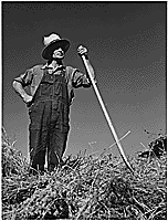 "Farm Security Administration: Farm hand in Goldendale, Washington," ca. 07/ 1936. (FDR Presidential Library NLR-PHOCO-A-53227(5290))