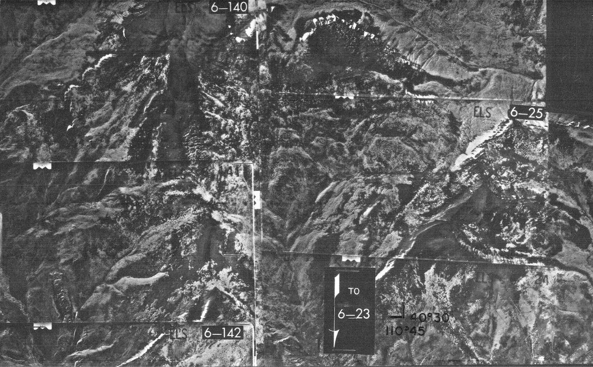RG 95, Indexes to Aerial Photography, Ashely National Forest, 1967, ELS, Sheet 1 exposure close up