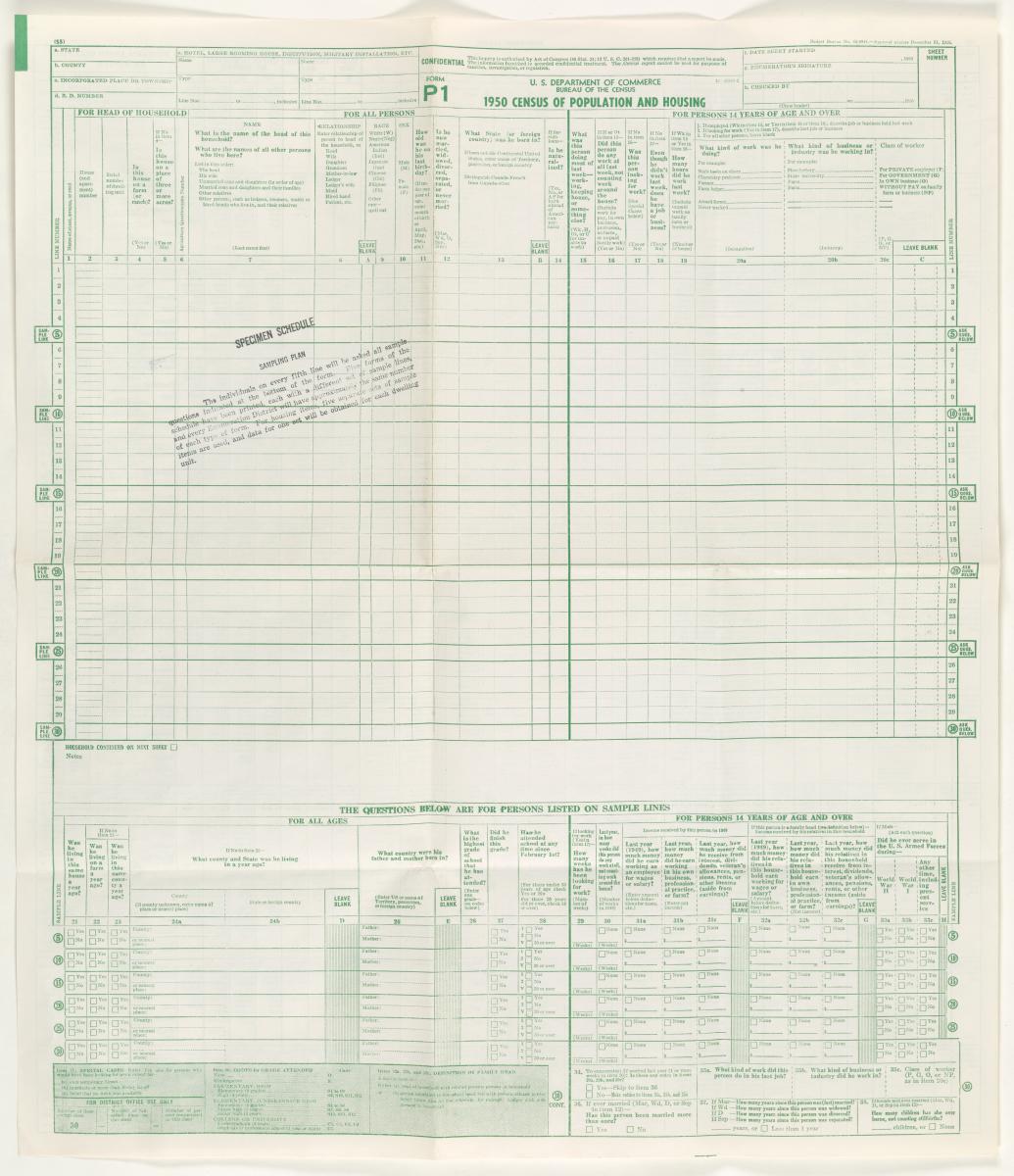 Census Form P1