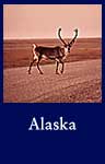 Alaska (National Archives Identifier 550386)