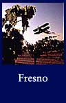 Fresno (National Archives Identifier 542502)