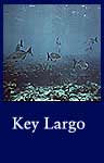 Key Largo (National Archives Identifier 548713)