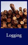 Logging (National Archives Identifier 542596)