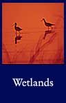 Wetlands (National Archives Identifier 547726)