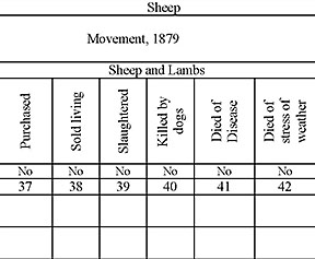 Family Genealogy Chart